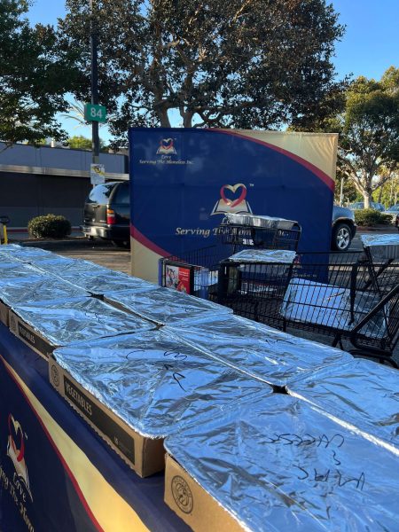 LSTH_Additional_Pic_.2